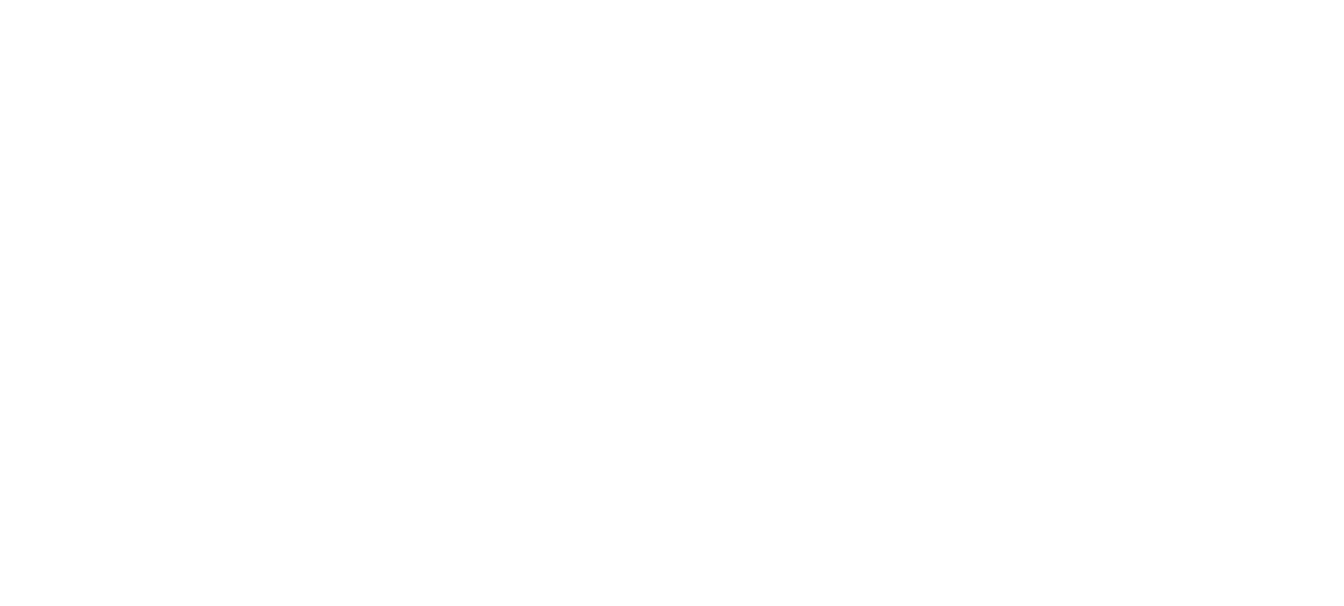 Microsoft Partner-Logo